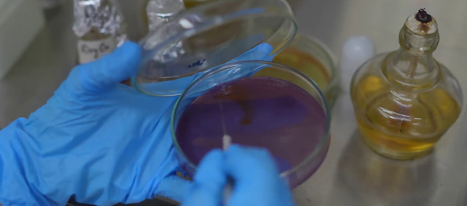 WhatsApp Image 2025-12-30 at 17.09.23_322e8991